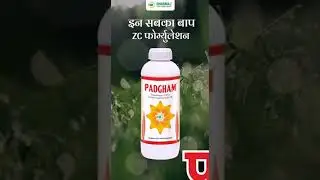 Padgham