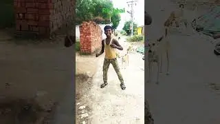 dekhiae Ke Bhar Jata pet Raja Ji## shorts videos ##😱😱😱