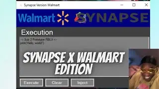 Synapse X Walmart Version, Level 7 Executor 🥶