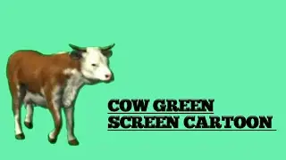 Cow green screen cartoon video !! animal green screen video