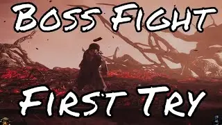 Highlight|Wo Long: Fallen Dynasty - Defeated Demon Qi First Try