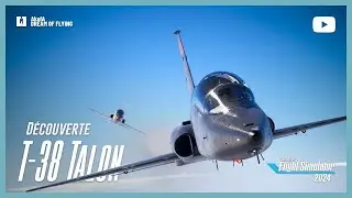 FAMOUS FLYER 13 | T-38 A TALON | BLACKBIRD | FS 2024