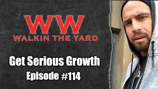 Wes Watson - Get Serious Growth