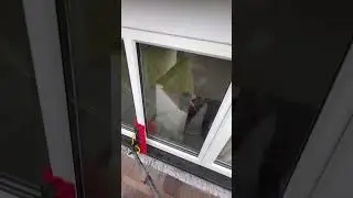 This job is not for everyone 😎 #windowcleaning #windowcleaner