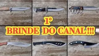 PRIMEIRO BRINDE DO CANAL #javali #hunters #ca&ccedil;a #cacador #boar #crossbow #video