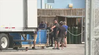 All dolphins now transported from Gulf World Marine Park