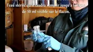 Culture &agrave; la ferme des bact&eacute;ries de la mammite