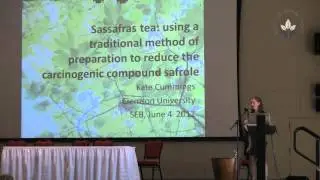 SY01008_Using a traditional method of preparation to reduce.....