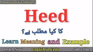 Heed Meaning