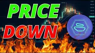 Zebec Price Down&hellip; But $65,000,000 Is Moving Every Month.-ZBCN COIN NEWS