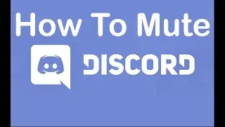 How to mute people / bots in the HaiKhuu Trading Discord