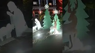 LINDA NOCHE EN MISANTLA VERACRUZ