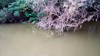 Остравок