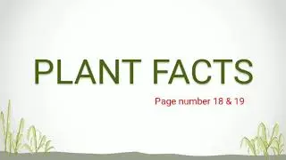 Plant Facts Class 3 Gk