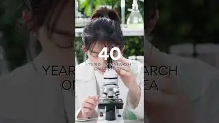 One and Only Green Tea for Your Skin| INNISFREE Green Innovation Lab