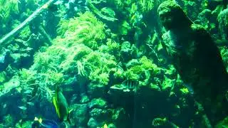 Rifaquarium op 13 augustus 2017 opkomen van de zon.