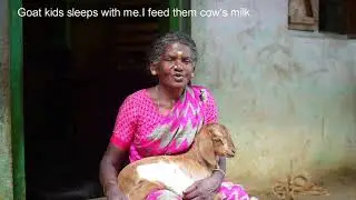 Winning Film: Mother Goat
