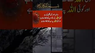 Short#Islamic quotes#aqwal e zareen in urdu#fairy tales#quotes