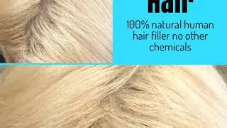 Shaker Hair