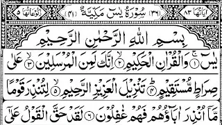 Surah Yaseen | Yasin Dua | Ep 452 | Daily Quran Tilawat | Surah Yasin Surah Rahman Surah Waqiah