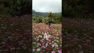 Enjoying d'nature😍&hearts;️ #enjoy#life#beautiful#nature#shorts#video