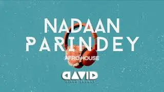 NADAAN PARINDEY (AFRO HOUSE) | DAVID | ROCKSTAR | A.R RAHMAN | MOHIT CHAUHAN