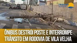 Ônibus destrói poste e interrompe trânsito em rodovia de Vila Velha