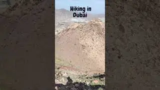 THIS is the TOP of the Dubai Mountain in Hatta #hiking #travel #shorts