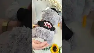 Congrats Graduation Custom Photo | Personalized Graduation Teddy Bear With Photo