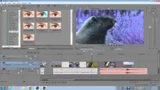 Sony Vegas Pro 11: Beginners Tutorial