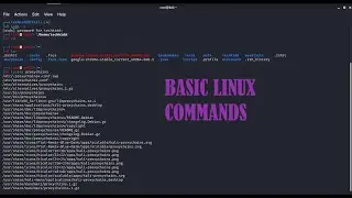 Basic linux commands