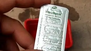 Lovebirds ko Antibiotics ka course kab karana chaye