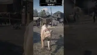 Последствия входа в военный форт с животным в Red Dead Resemption 2 #игра #rdrd2