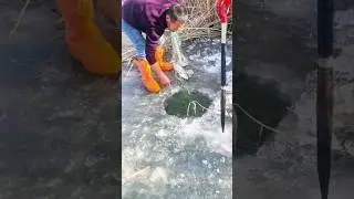 A fight for survival in freezing waters ❄️#fishing #fish #winter