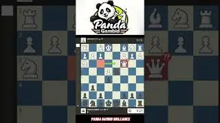PANDA GAMBID BRILLIANCE