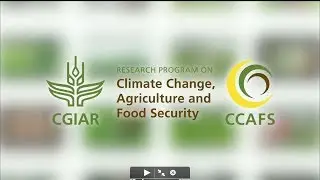 Climate Change, Agriculture and Food Security (CCAFS)