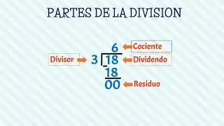 PARTES DE LA DIVISI&Oacute;N