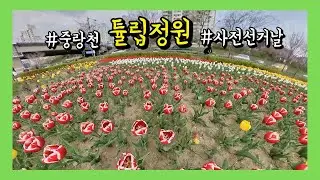 Vlog | 사전선거하던 날 '튤립정원'에서 (중랑천 / 장평교 / FreeCapture) [Insta360 ONE X])