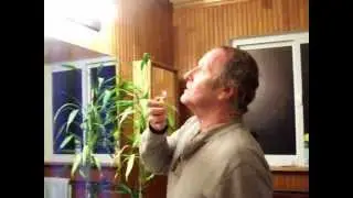 Сжигание волосков в носу