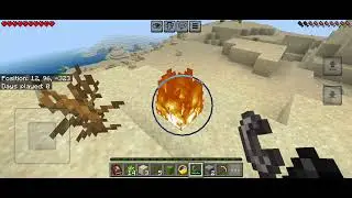 First day in Survival world