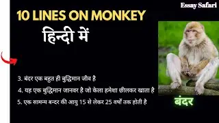 10 lines on Monkey in Hindi - Few lines about Bandar | बंदर पर निबंध हिंदी में Hindi Essay