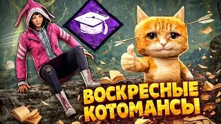 🐾 ВОСКРЕСНЫЕ КОТОМАНСЫ 🔪 Dead by Daylight