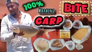 Katla bite special 100% result.katla fishing🐟🐟🎣🎣 sangli