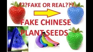 FAKE SEEDs from Ebay / Aliexpress | Strawberry Watermelon Fake Blue Orange Rainbow🍓🍓