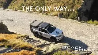 Black Sheep in the Swiss Alps - Autumn Teaser 12th October 2019