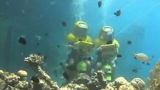 Aqua Star Israel Nev Drive for Diving(www.aquastars.co.il)