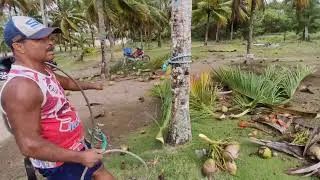 Como subir no coqueiro de forma raiz pra tirar coco #motovlogbrasil #vlog #culture 