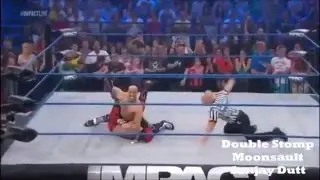 Top 10 highflyers finishers in all wrestling promotions