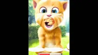 Talking Ginger 2/ talking ginger/ abc song/ yellow cat/ Gaming/ talking tom