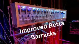 Berta Barracks Update! New filter system and return.